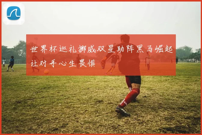 世界杯巡礼挪威双星助阵黑马崛起让对手心生畏惧